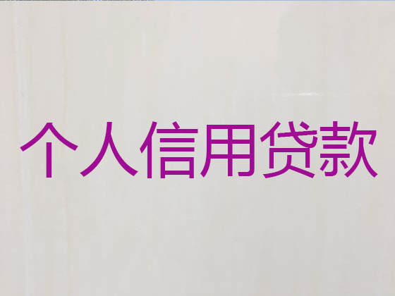 梧州抵押贷款公司-信用贷款